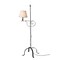 Adjustable Wrought Iron Floor Lamp 57in Dark Finish with Fabric Shade 3-Way